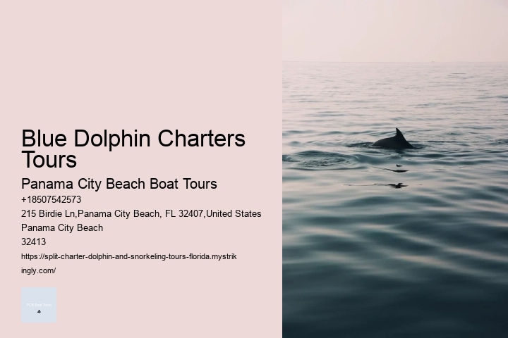 Blue Dolphin Charters Tours Panama City Beach Boat Tours Blue Dolphin Charters Tours