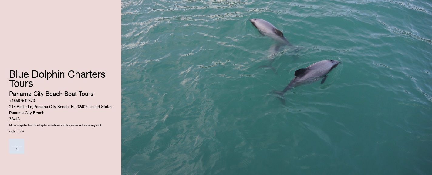 Split Catamaran Tours For Dolphin Watching And Snorkeling