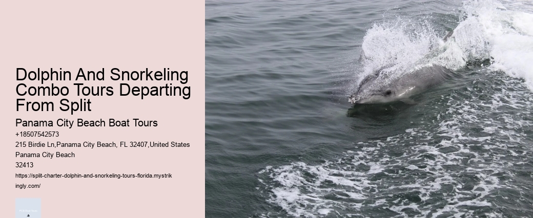 Where Is The Best Place To Swim With Dolphins