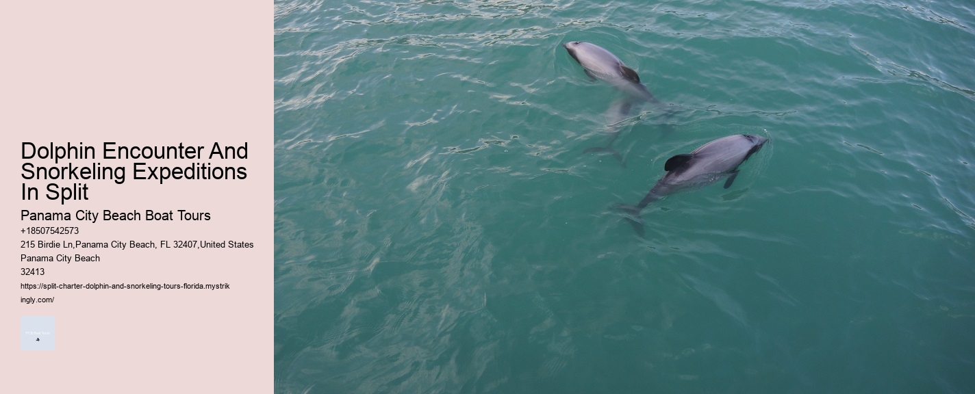 Dolphin Encounter And Snorkeling Expeditions In Split