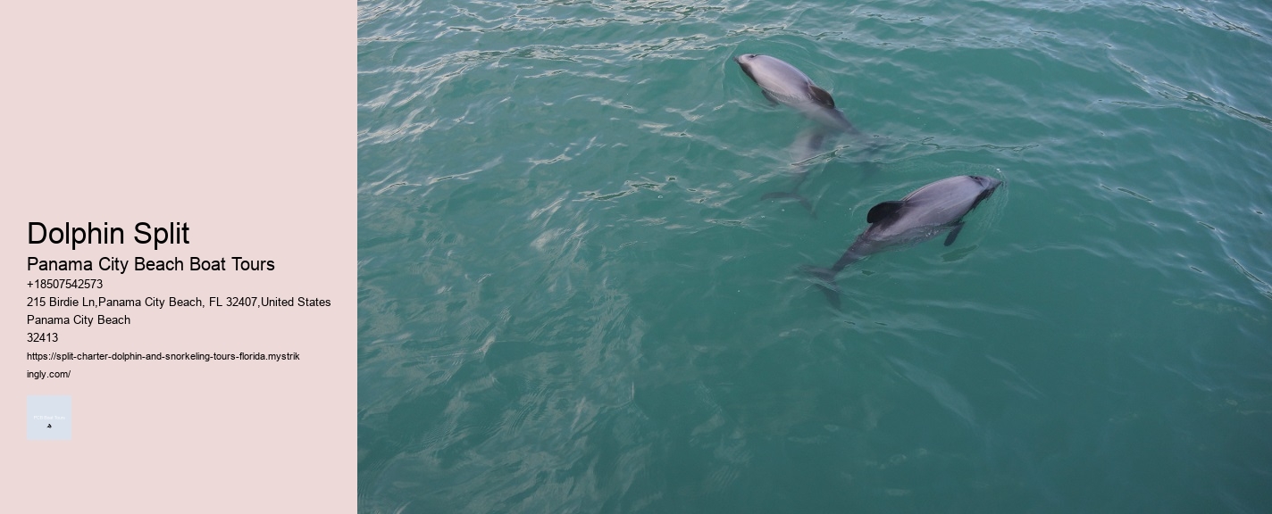 Dolphin Split Panama City Beach Boat Tours Dolphin Split