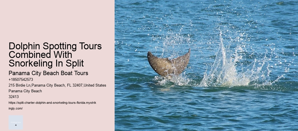 Top 5 Places To Swim With Dolphins