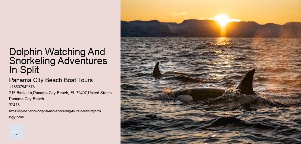 Are Dolphin Tours Safe For Dolphins