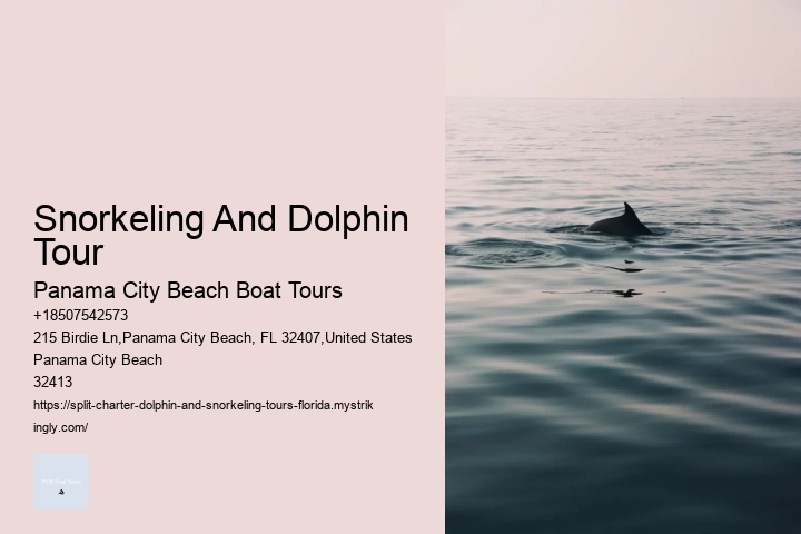 Snorkeling Safaris With Dolphin Watching In Split