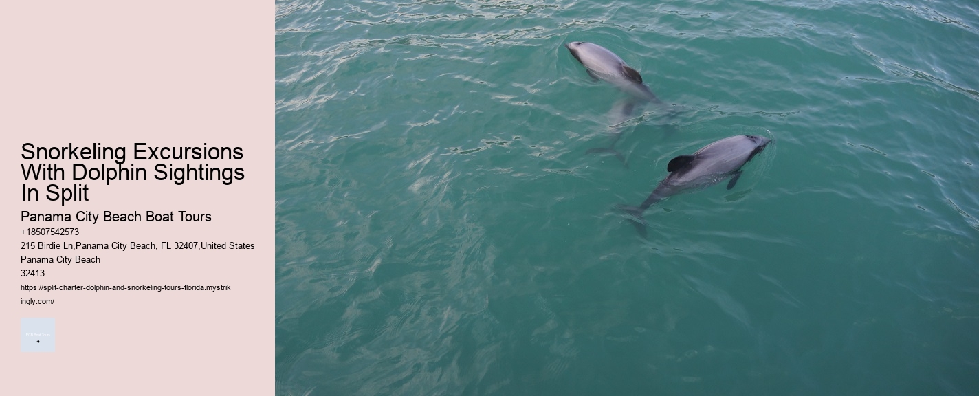 Snorkeling Excursions With Dolphin Sightings In Split