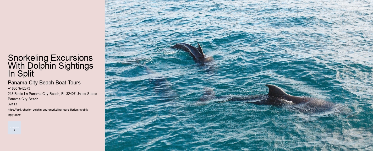 Dolphin Tours 30a