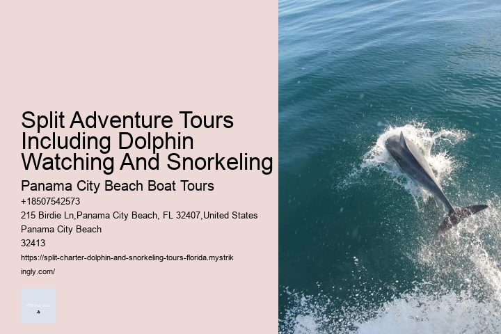 Do You Get Sea Sick On A Dolphin Cruise