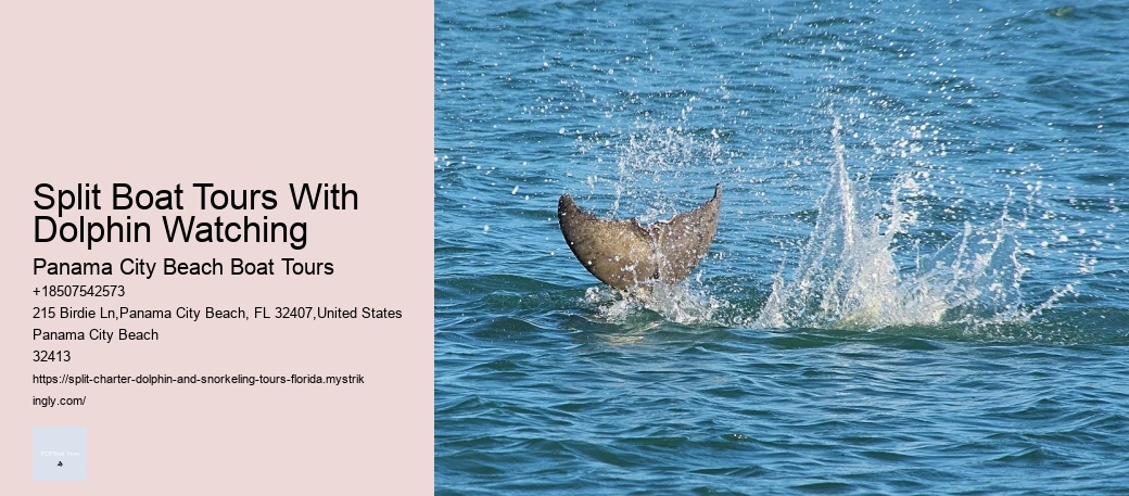 Split Boat Tours With Dolphin Watching