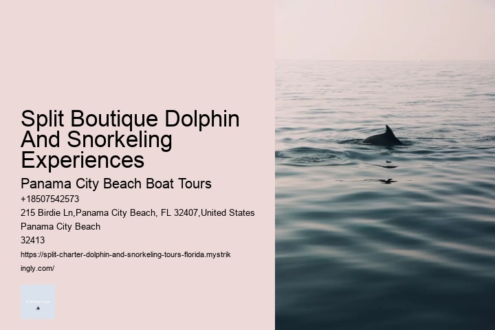 Split Boutique Dolphin And Snorkeling Experiences Panama City Beach Boat Tours Split Boutique Dolphin And Snorkeling Experiences