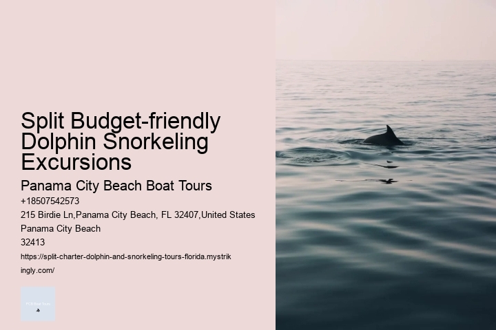Split Budget-friendly Dolphin Snorkeling Excursions Panama City Beach Boat Tours Split Budget-friendly Dolphin Snorkeling Excursions