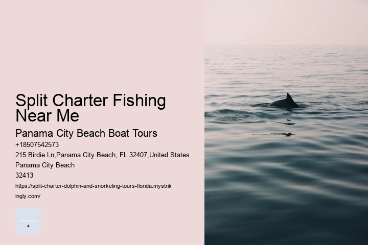 Split Charter Fishing Near Me Panama City Beach Boat Tours Split Charter Fishing Near Me