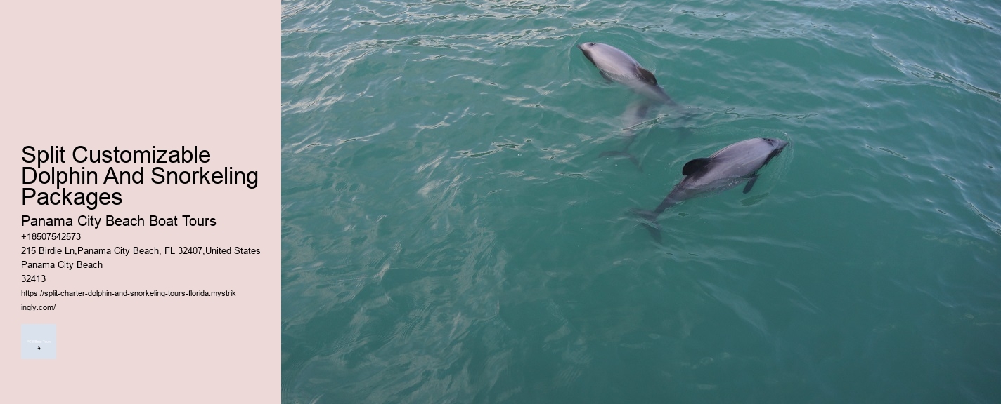 What Are The Risks Of Hugging Dolphins In The Wild
