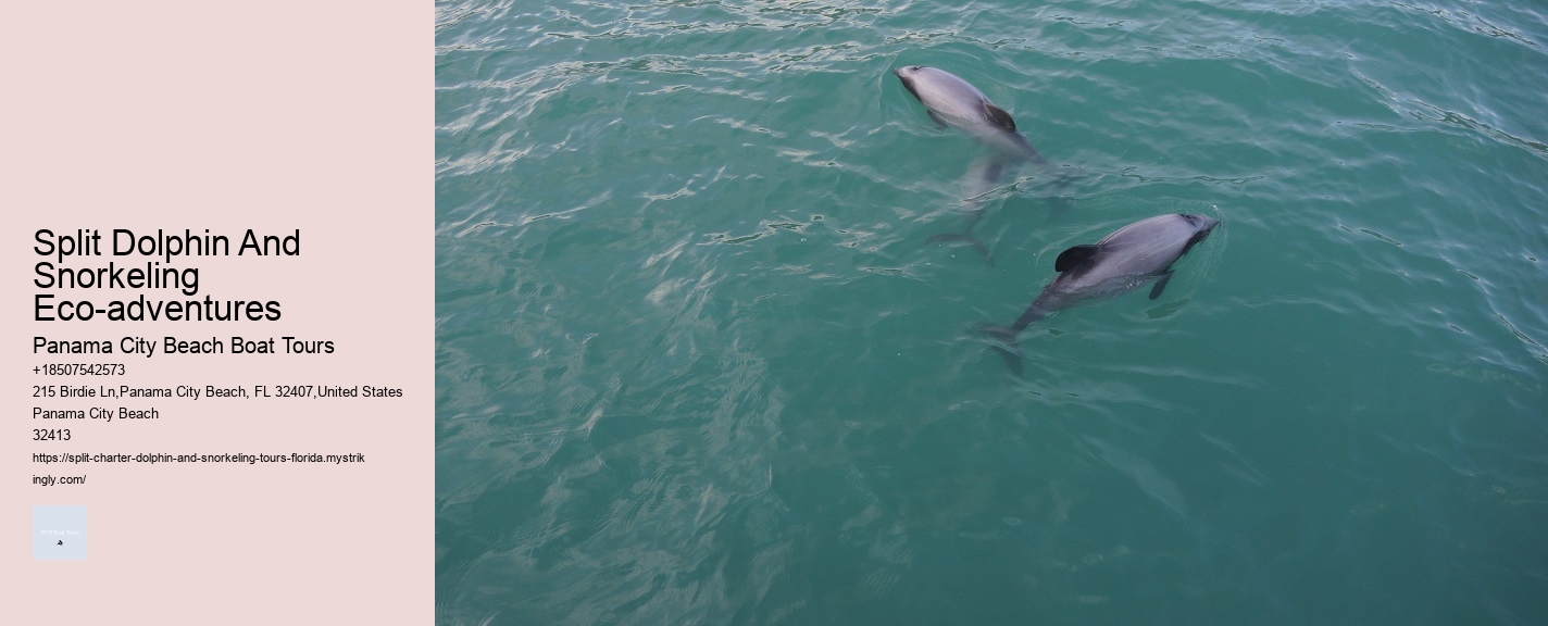 Split Dolphin And Snorkeling Eco-adventures Panama City Beach Boat Tours Split Dolphin And Snorkeling Eco-adventures