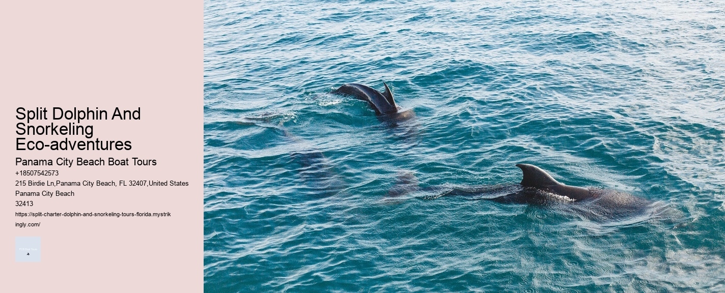 The Ultimate Whale Watching Guide 2022