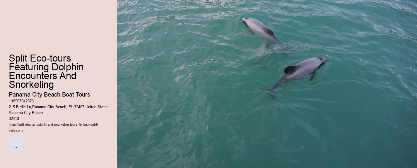 Split Eco-tours Featuring Dolphin Encounters And Snorkeling Panama City Beach Boat Tours Split Eco-tours Featuring Dolphin Encounters And Snorkeling