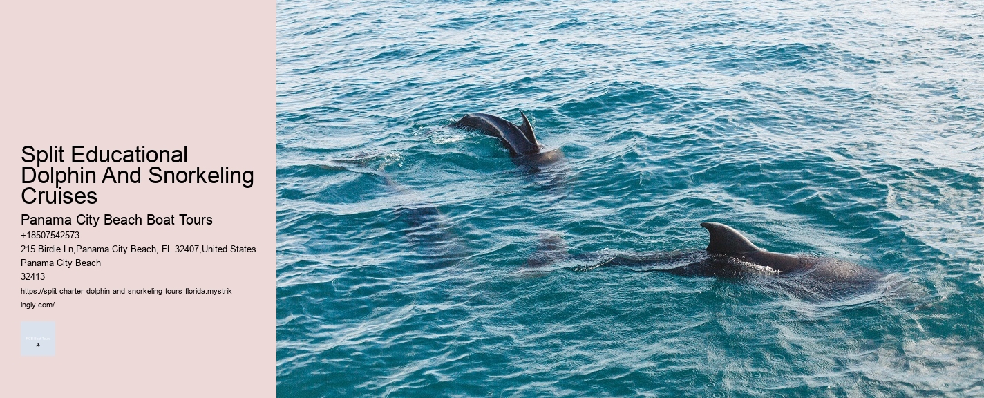 Split Educational Dolphin And Snorkeling Cruises Panama City Beach Boat Tours Split Educational Dolphin And Snorkeling Cruises