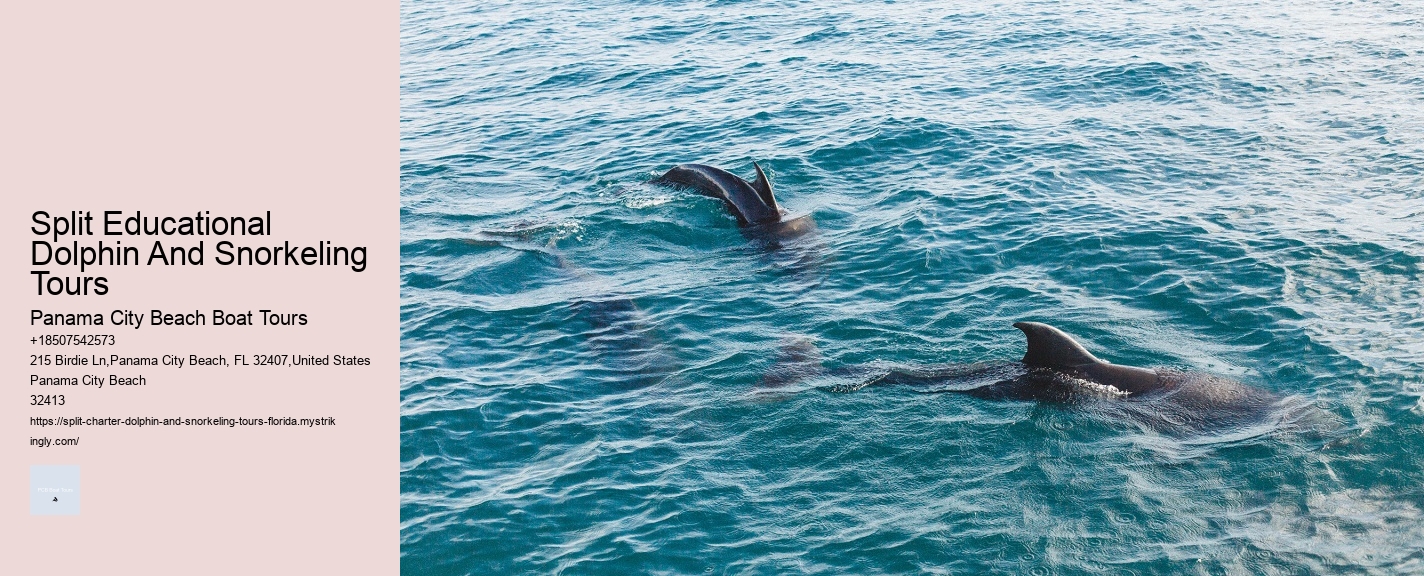 Split Educational Dolphin And Snorkeling Tours Panama City Beach Boat Tours Split Educational Dolphin And Snorkeling Tours
