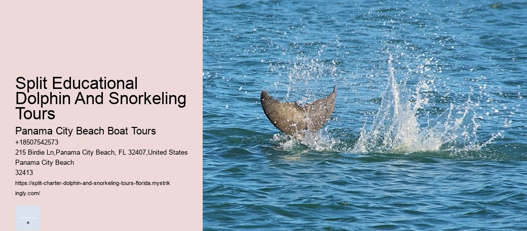 3 Dolphin Adaptations