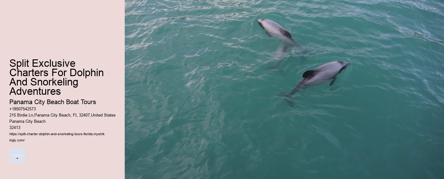 Split Exclusive Charters For Dolphin And Snorkeling Adventures