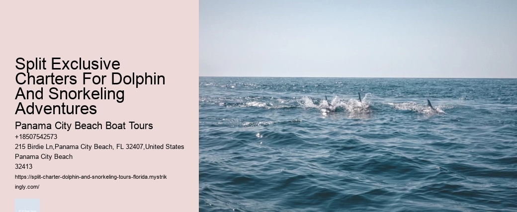 Are Dolphins Actually Happy In Captivity