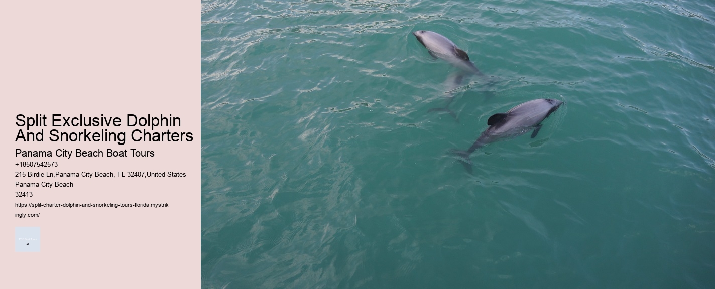 Split Exclusive Dolphin And Snorkeling Charters Panama City Beach Boat Tours Split Exclusive Dolphin And Snorkeling Charters