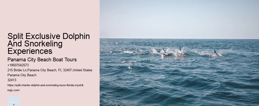 Split Expert-guided Snorkeling And Dolphin Adventures