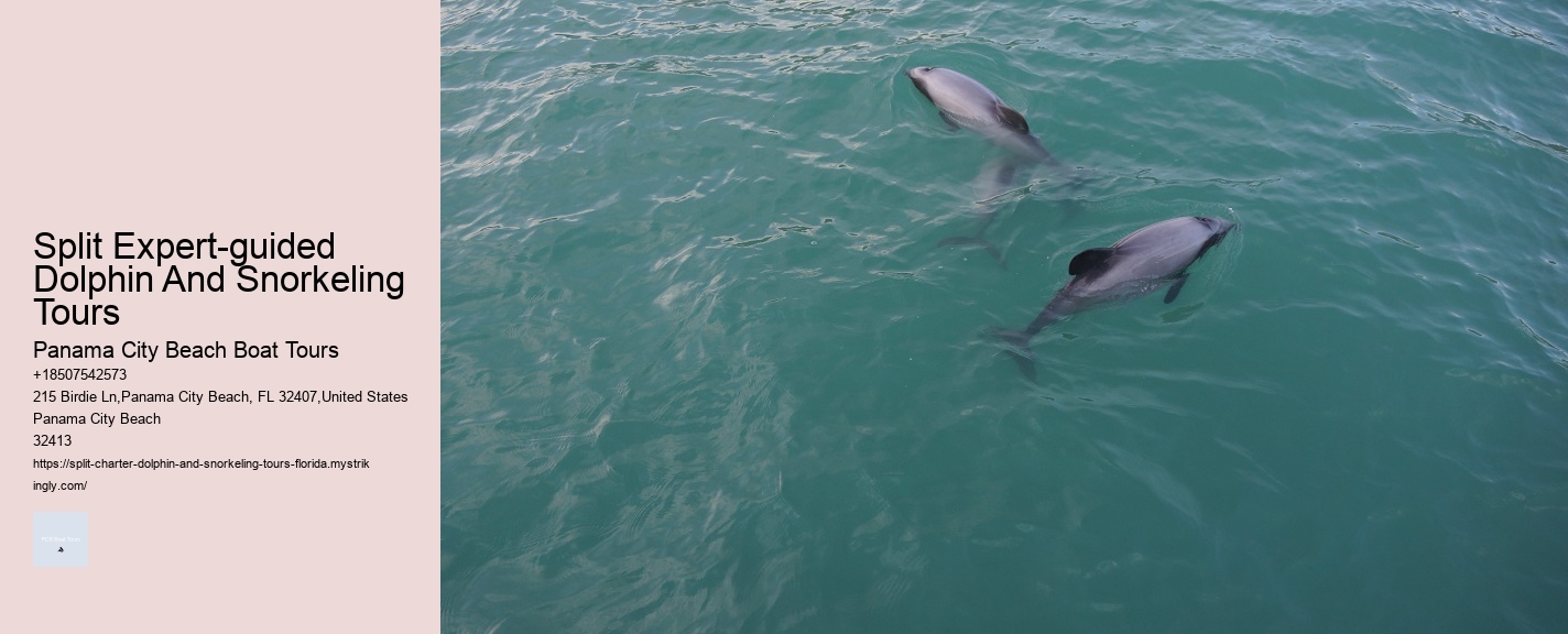 Split Expert-guided Dolphin And Snorkeling Tours Panama City Beach Boat Tours Split Expert-guided Dolphin And Snorkeling Tours