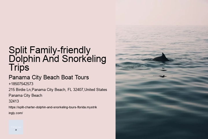 Split Family-friendly Dolphin And Snorkeling Trips Panama City Beach Boat Tours Split Family-friendly Dolphin And Snorkeling Trips