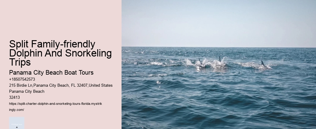 Split Exclusive Snorkeling And Dolphin Charters