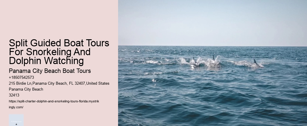 Split Guided Boat Tours For Snorkeling And Dolphin Watching Panama City Beach Boat Tours Split Guided Boat Tours For Snorkeling And Dolphin Watching