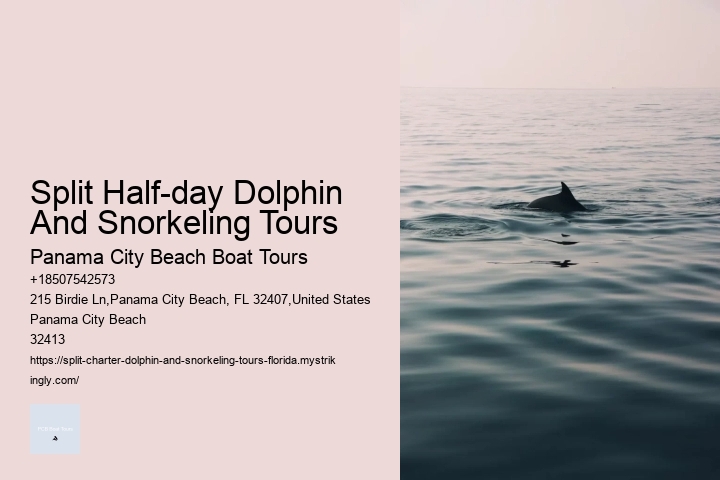 Split Half-day Dolphin And Snorkeling Tours Panama City Beach Boat Tours Split Half-day Dolphin And Snorkeling Tours