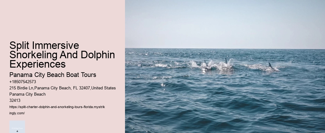 Split Expert-guided Dolphin And Snorkeling Tours