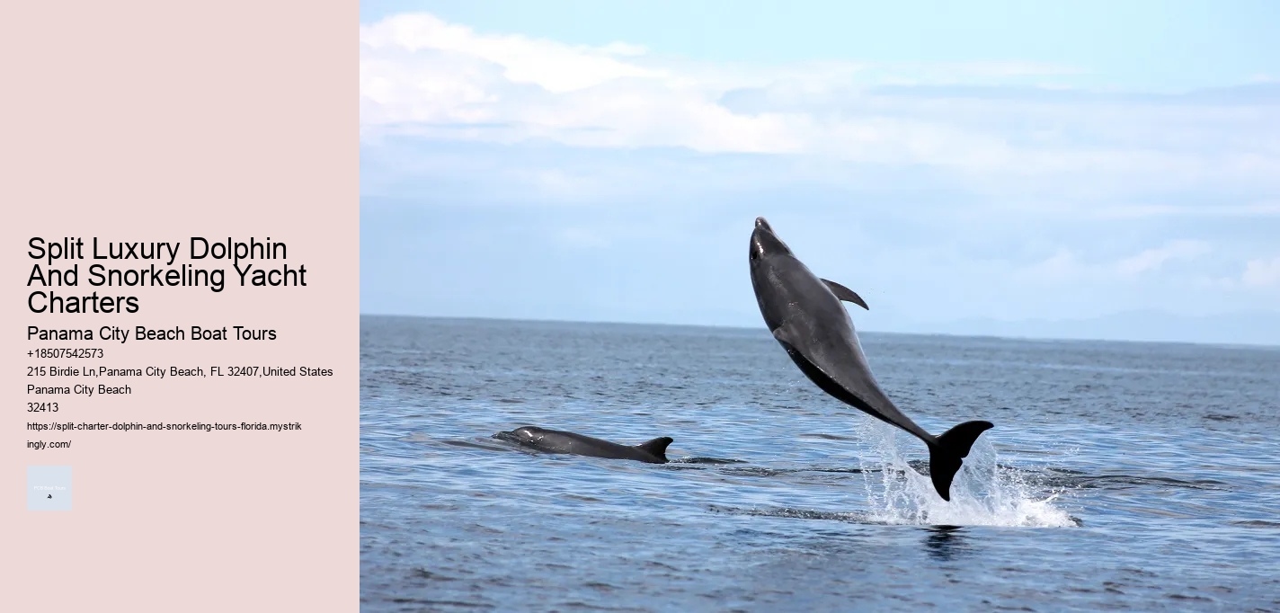 Split Luxury Dolphin And Snorkeling Yacht Charters Panama City Beach Boat Tours Split Luxury Dolphin And Snorkeling Yacht Charters