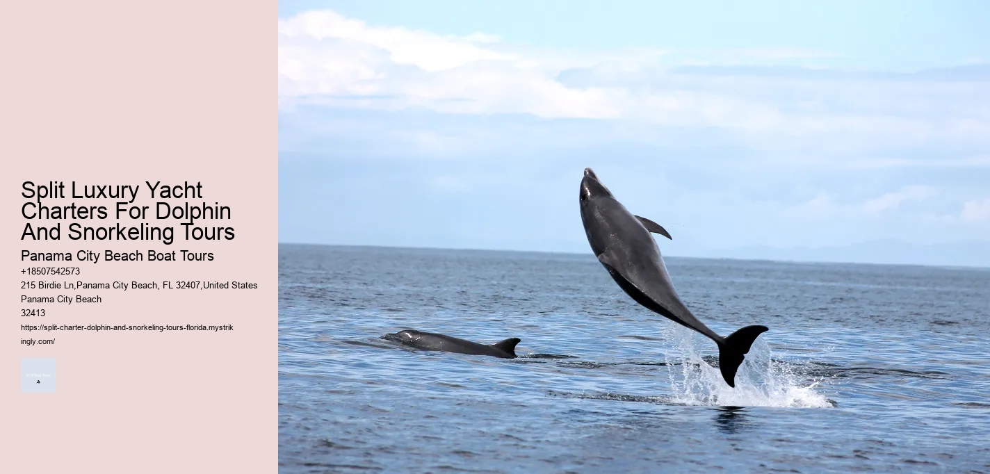Split Luxury Yacht Charters For Dolphin And Snorkeling Tours Panama City Beach Boat Tours Split Luxury Yacht Charters For Dolphin And Snorkeling Tours