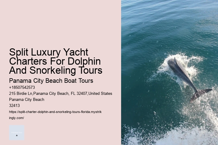 Dolphin Charter Boat