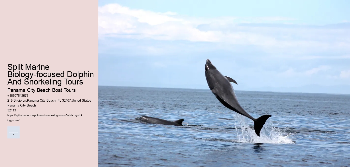 Split Marine Biology-focused Dolphin And Snorkeling Tours Panama City Beach Boat Tours Split Marine Biology-focused Dolphin And Snorkeling Tours