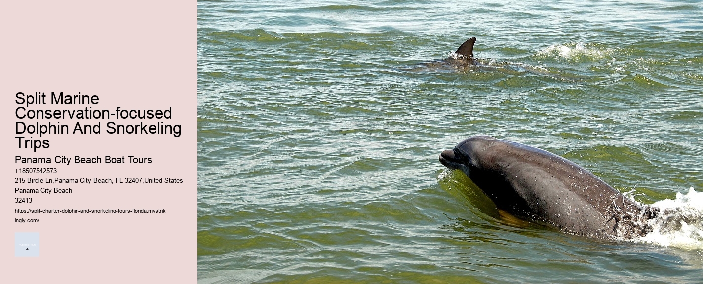 Split Marine Conservation-focused Dolphin And Snorkeling Trips Panama City Beach Boat Tours Split Marine Conservation-focused Dolphin And Snorkeling Trips