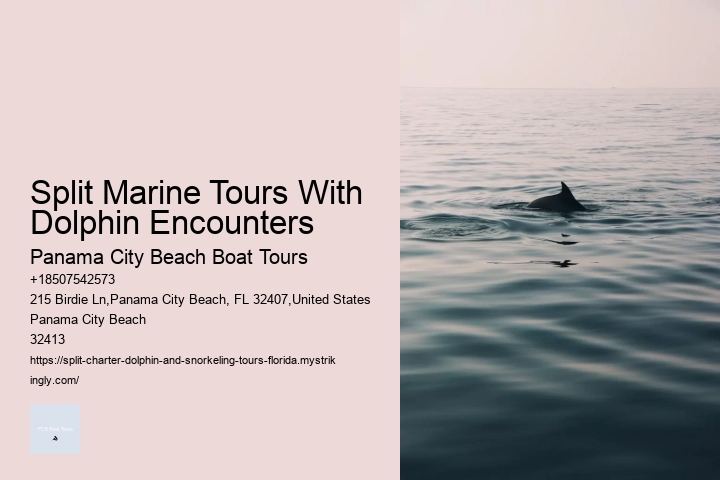 Split Marine Tours With Dolphin Encounters Panama City Beach Boat Tours Split Marine Tours With Dolphin Encounters