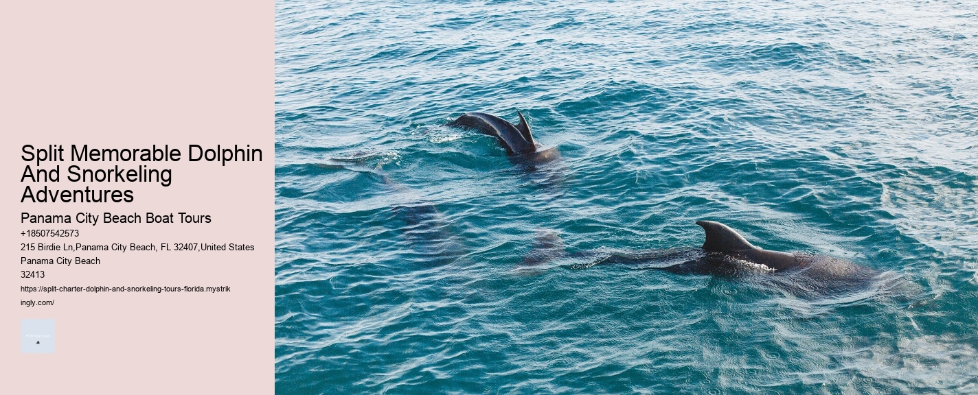 Split Memorable Dolphin And Snorkeling Adventures Panama City Beach Boat Tours Split Memorable Dolphin And Snorkeling Adventures