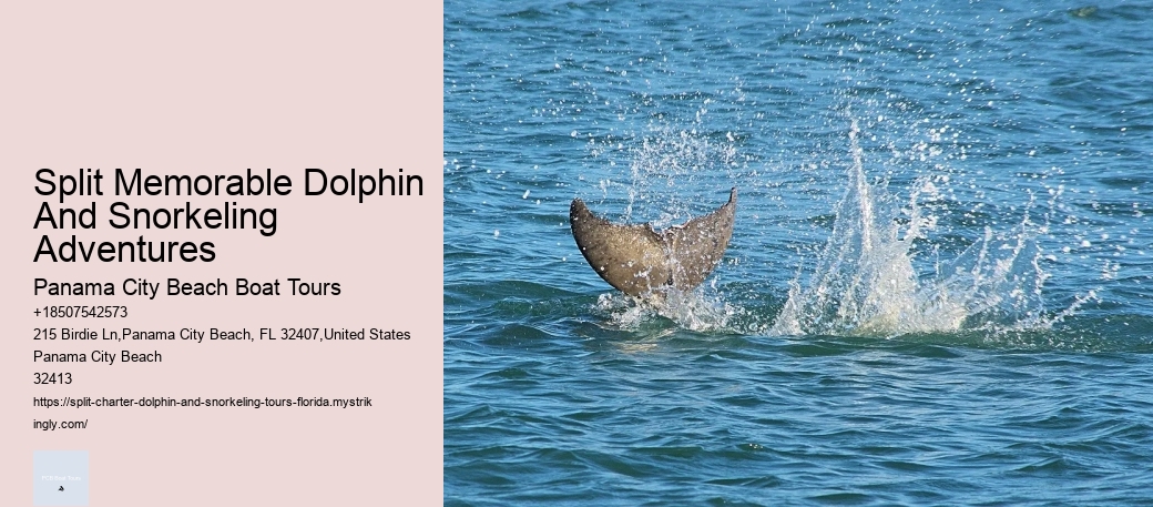 Cape Coral Dolphin Cruises