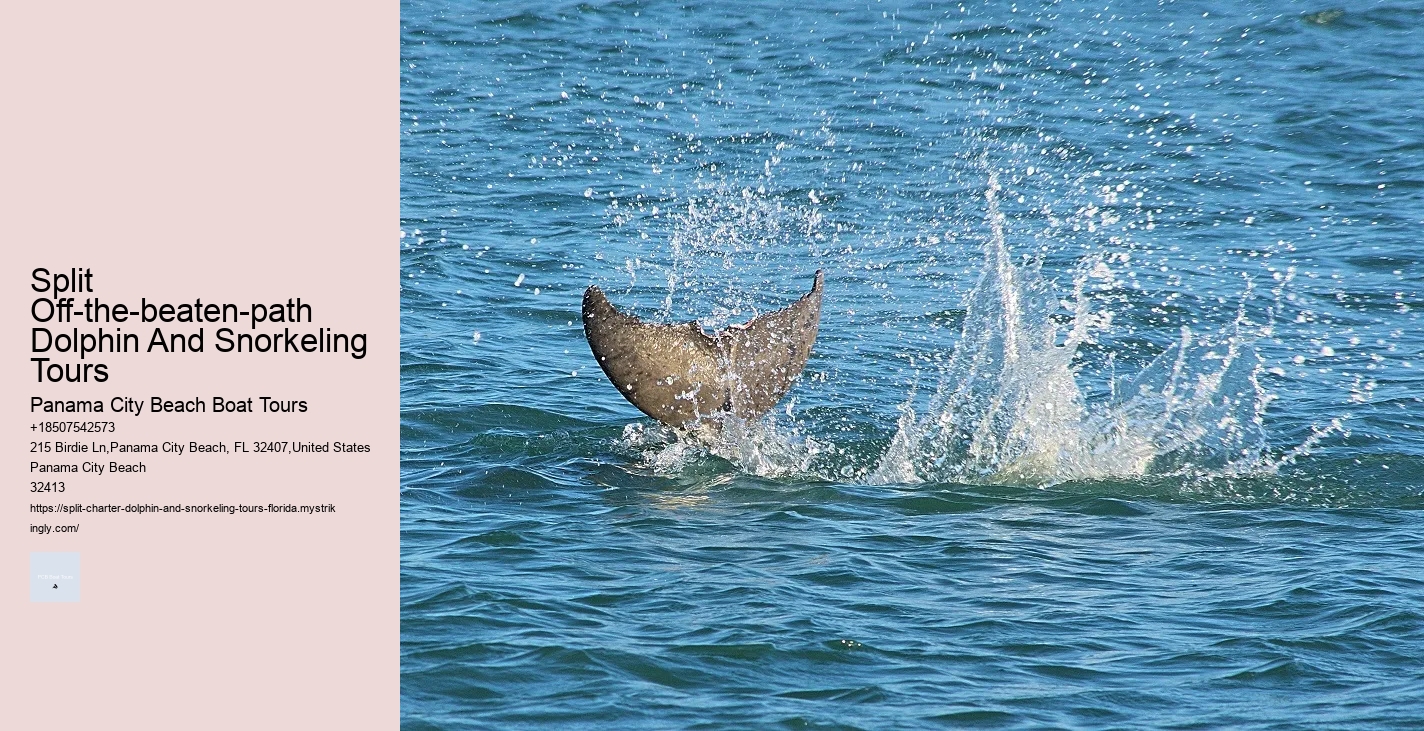 Swimming With Captive Dolphins