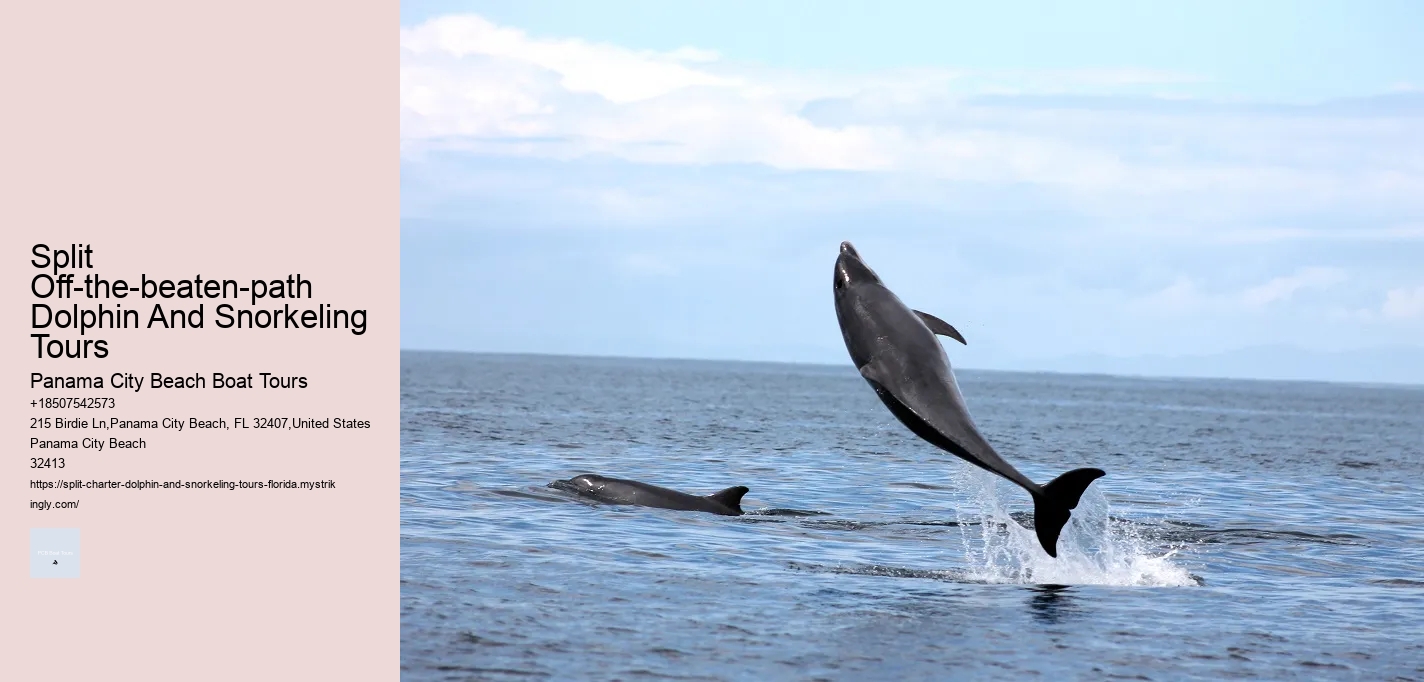 Split Off-the-beaten-path Dolphin And Snorkeling Tours Panama City Beach Boat Tours Split Off-the-beaten-path Dolphin And Snorkeling Tours