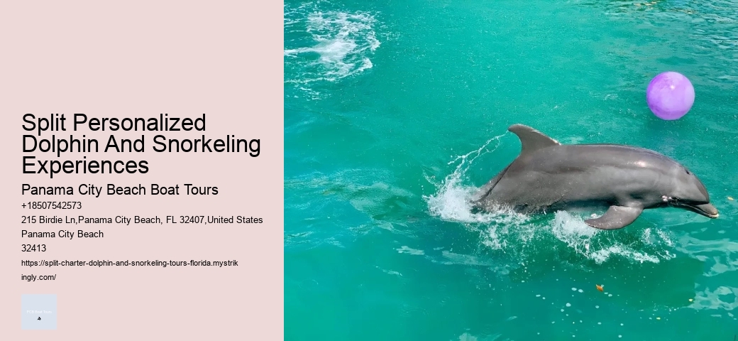 Are Untrained Dolphins Friendly