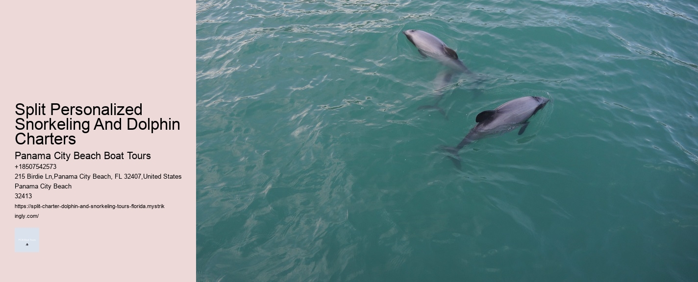 Split Personalized Snorkeling And Dolphin Charters Panama City Beach Boat Tours Split Personalized Snorkeling And Dolphin Charters