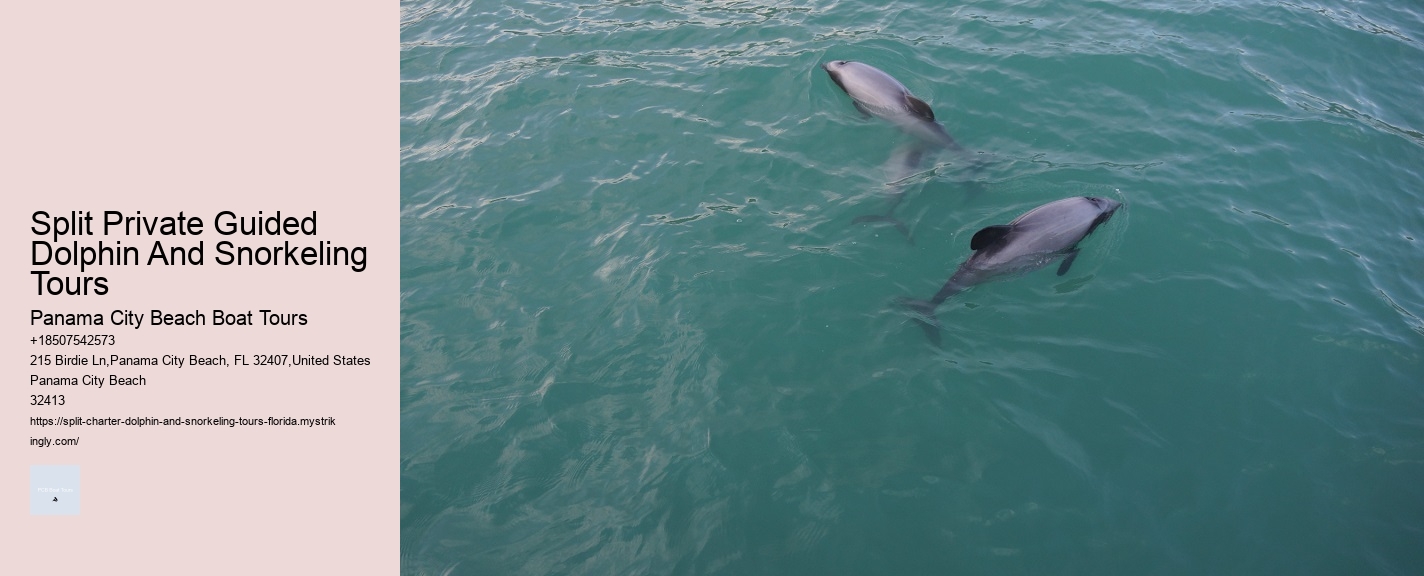 Do Dolphins Swim Humans To Shore