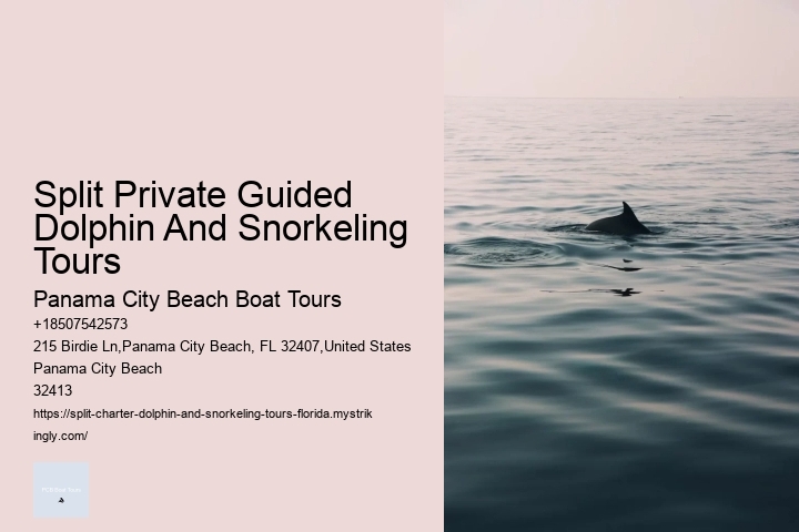 Split Private Guided Dolphin And Snorkeling Tours Panama City Beach Boat Tours Split Private Guided Dolphin And Snorkeling Tours