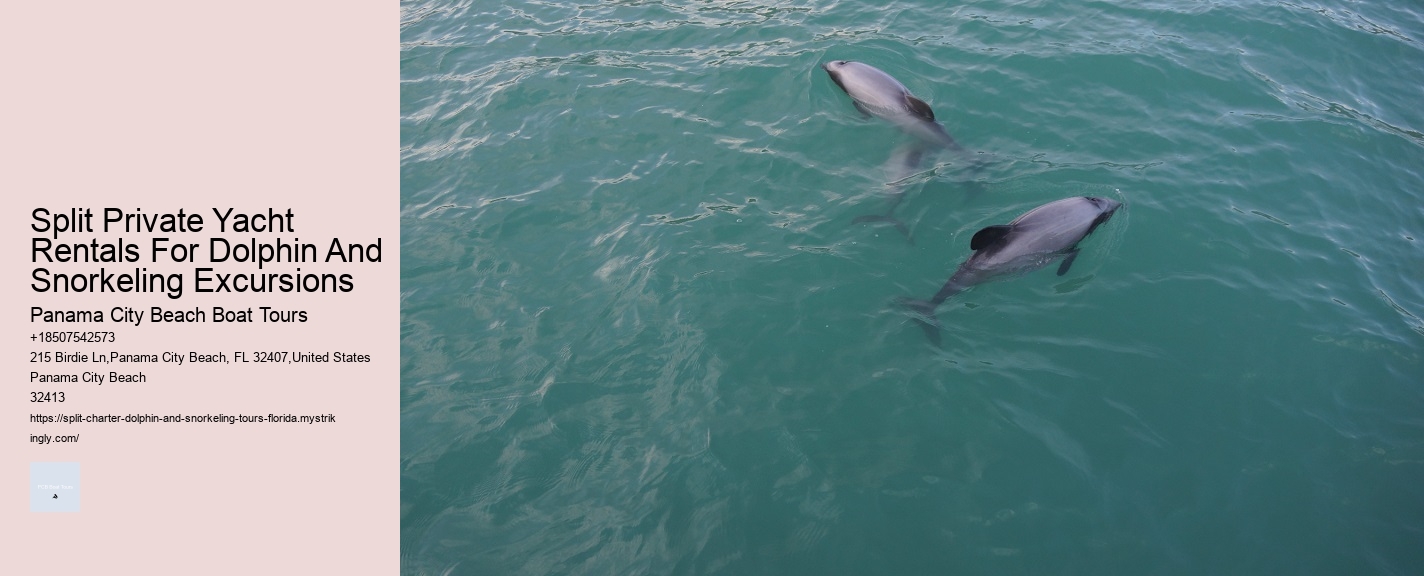 Split Private Yacht Rentals For Dolphin And Snorkeling Excursions Panama City Beach Boat Tours Split Private Yacht Rentals For Dolphin And Snorkeling Excursions