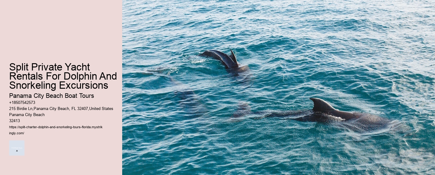 Panama City Beach Snorkeling Dolphins