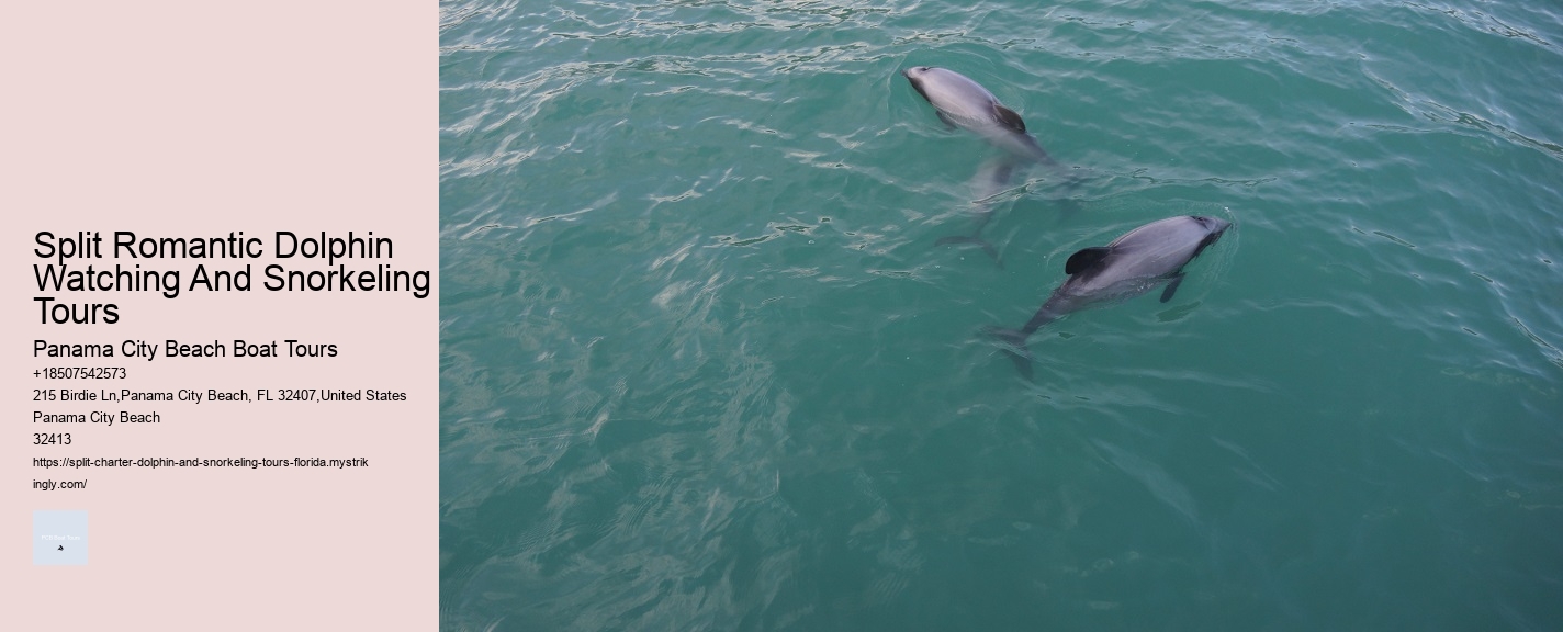 Split Romantic Dolphin Watching And Snorkeling Tours Panama City Beach Boat Tours Split Romantic Dolphin Watching And Snorkeling Tours