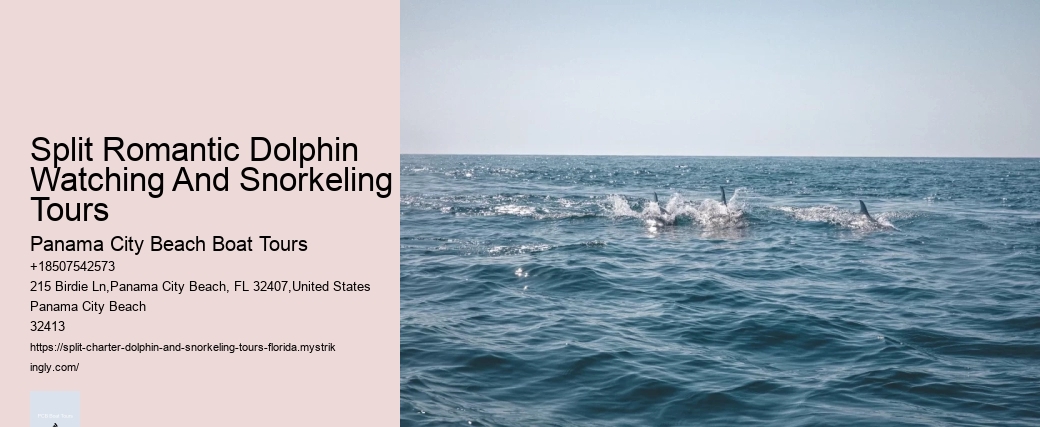 Can You Wear Sunscreen When Swimming With Dolphins